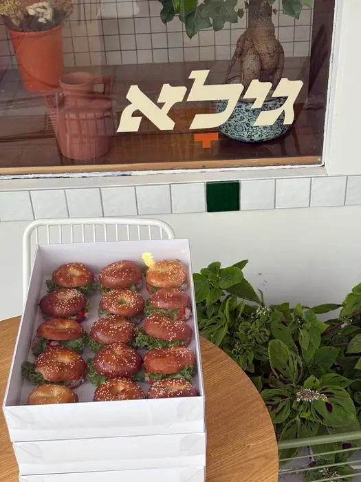 קופסת בייגלה קטנים